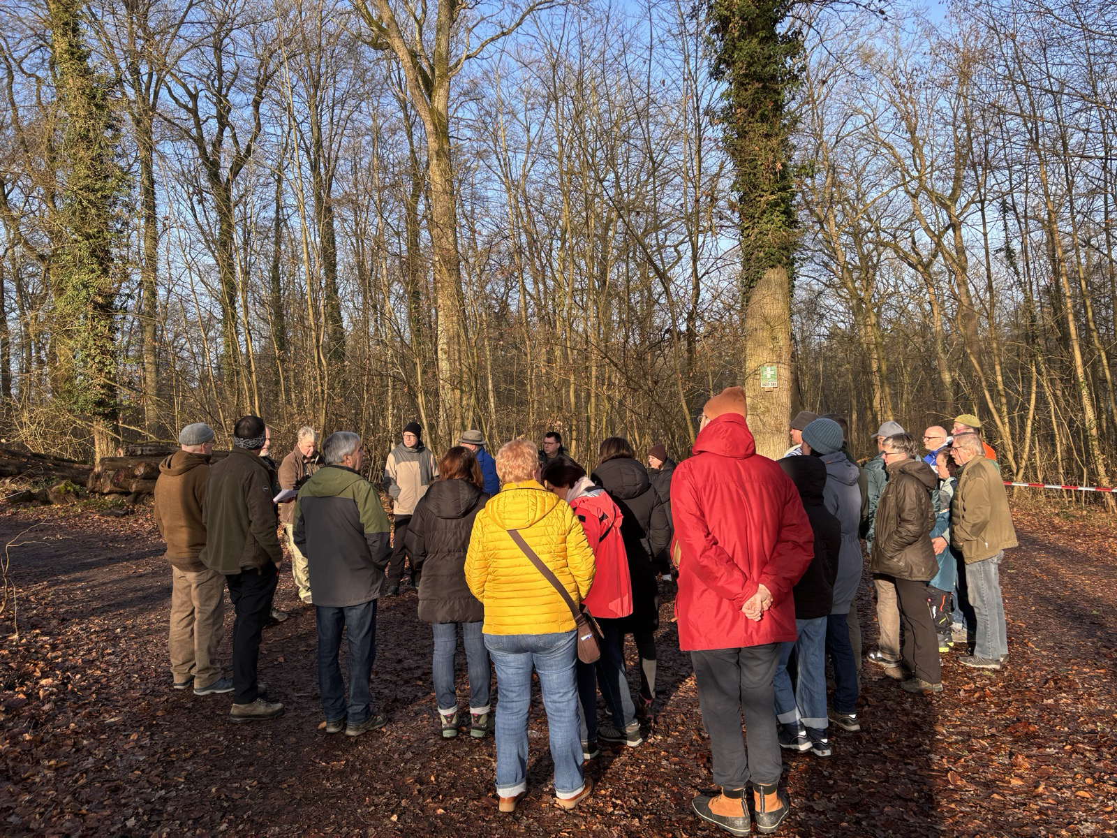 Birlenbach: Waldbegehung 202 6